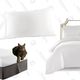 HC Collection Pillow Cases | $10 | Amazon
HC Collection Bed Skirt | $15 | Amazon
HC Collection Duvet Cover | $21 | Amazon
HC Collection Sheets Set | $25 | Amazon